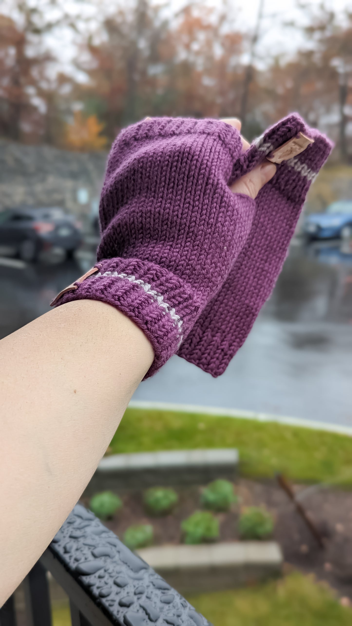 Eggplant Merino Wool Mitten